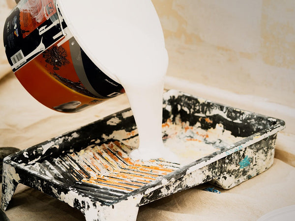 The Ultimate Guide to Anti-Mould Paint: Why Winter Is the Worst Time for Mould and How to Stop It