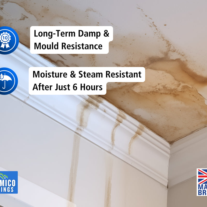 Damp Seal One Coat | 1, 2.5 & 5 Litres - Matt White | Siramico Coatings